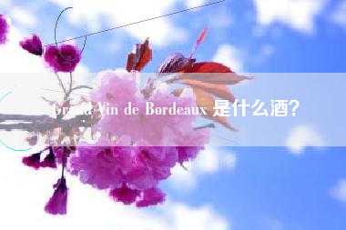 Grand Vin de Bordeaux 是什么酒？