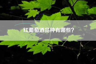 红葡萄酒品种有哪些？