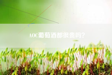 AOC葡萄酒都很贵吗？