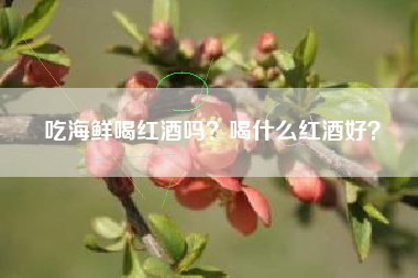 吃海鲜喝红酒吗？喝什么红酒好？