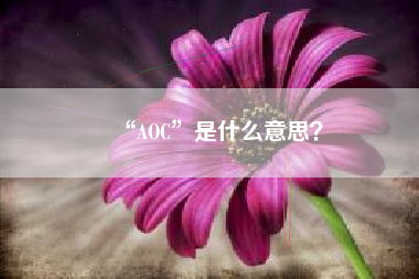 “AOC”是什么意思？