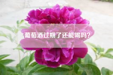 葡萄酒过期了还能喝吗？