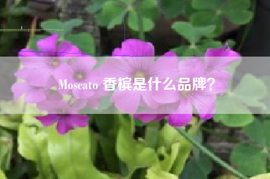 Moscato 香槟是什么品牌？