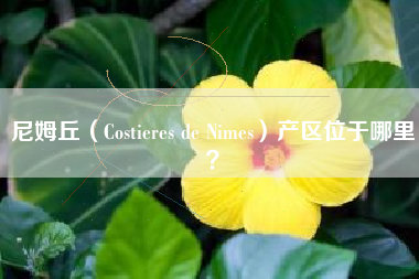 尼姆丘（Costieres de Nimes）产区位于哪里？