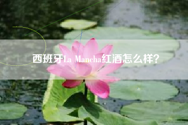 西班牙La Mancha红酒怎么样？